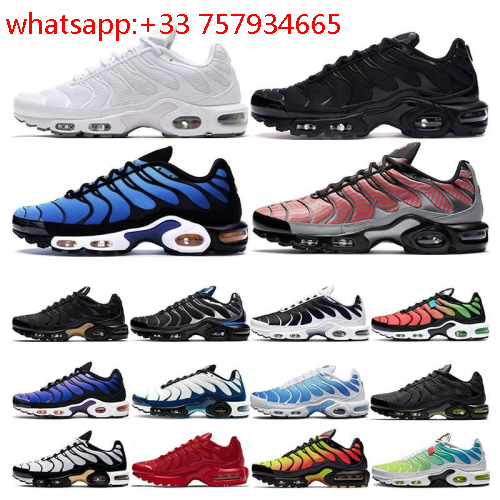 nike tn couleur